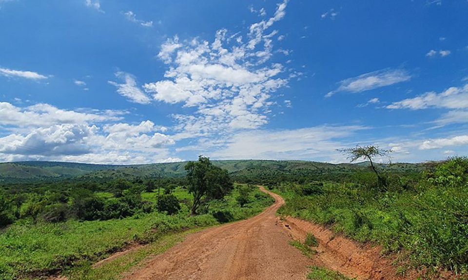Red Cat Media blog over tien jaar Lake Mburo